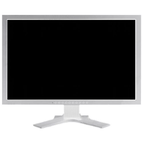 Monitor Eizo FlexScan EV2411W 24 Pollici 1920x1080 Full-HD VGA DVI White